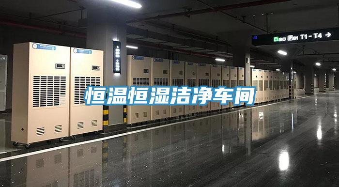 恒溫恒濕潔凈車(chē)間