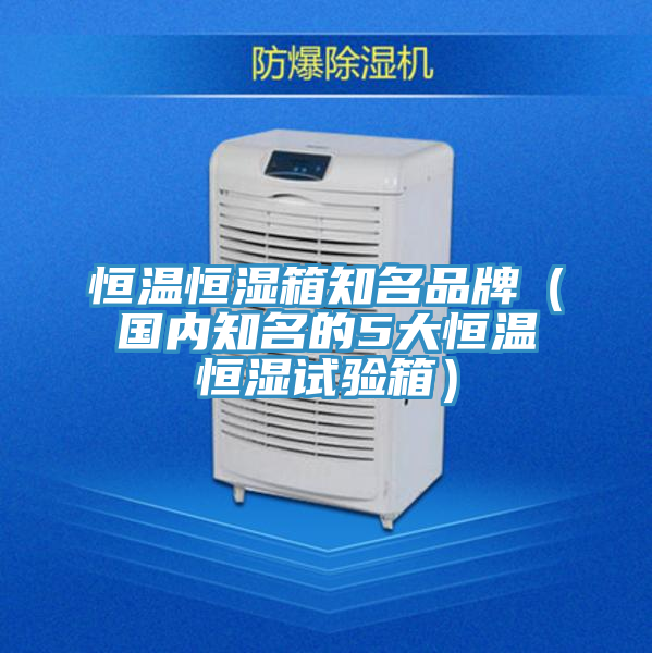 恒溫恒濕箱知名品牌（國(guó)內(nèi)知名的5大恒溫恒濕試驗(yàn)箱）