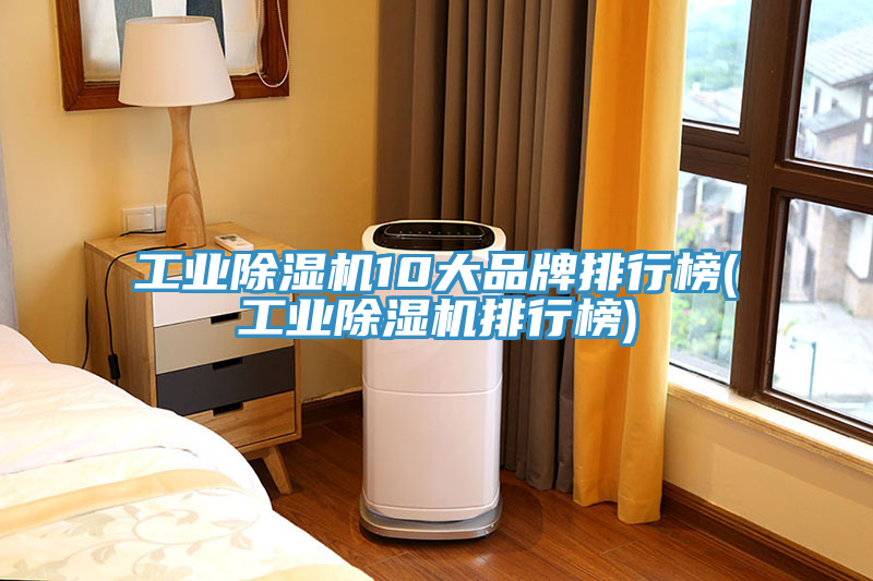 工業(yè)除濕機(jī)10大品牌排行榜(工業(yè)除濕機(jī)排行榜)