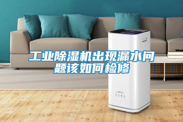 工業(yè)除濕機(jī)出現(xiàn)漏水問(wèn)題該如何檢修