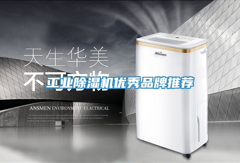 工業(yè)除濕機(jī)優(yōu)秀品牌推薦