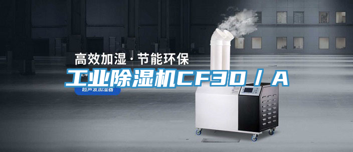 工業(yè)除濕機(jī)CF3D／A