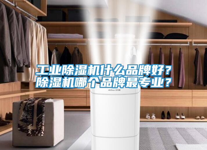 工業(yè)除濕機(jī)什么品牌好？除濕機(jī)哪個(gè)品牌最專業(yè)？