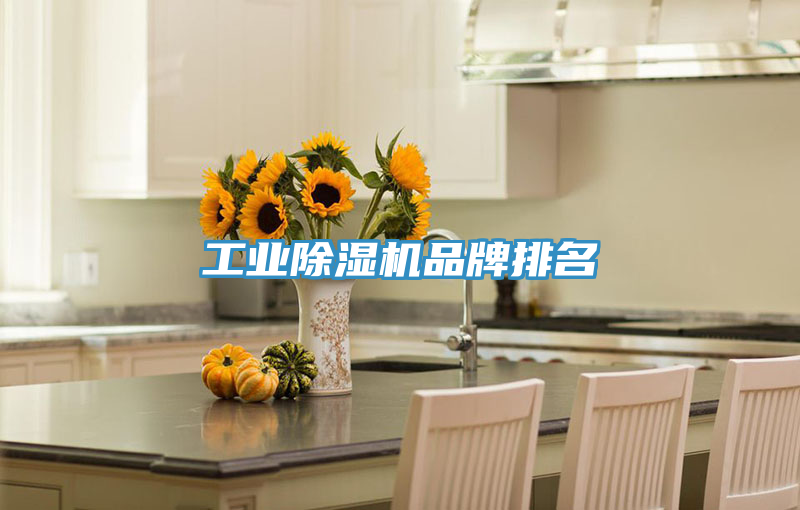 工業(yè)除濕機(jī)品牌排名