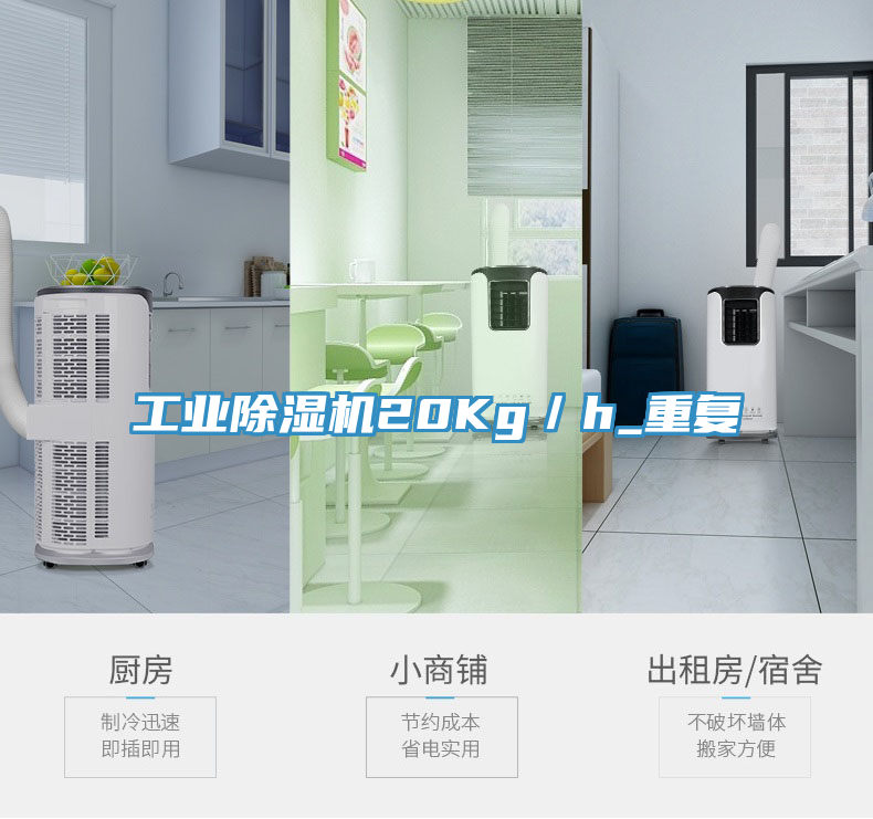 工業(yè)除濕機(jī)20Kg／h_重復(fù)