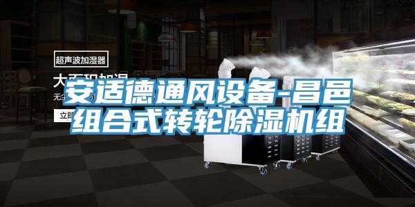安適德通風(fēng)設(shè)備-昌邑組合式轉(zhuǎn)輪除濕機組
