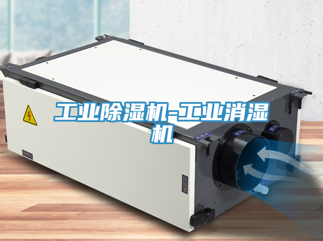 工業(yè)除濕機(jī)-工業(yè)消濕機(jī)