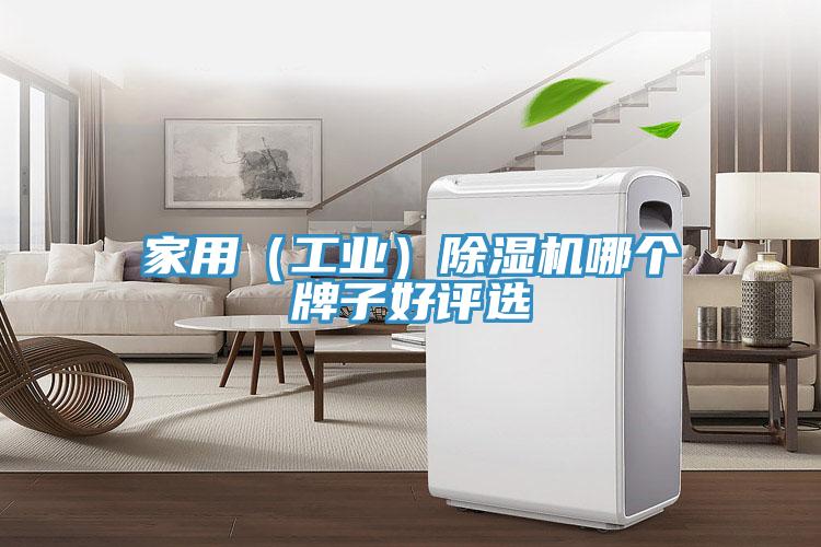 家用（工業(yè)）除濕機哪個牌子好評選