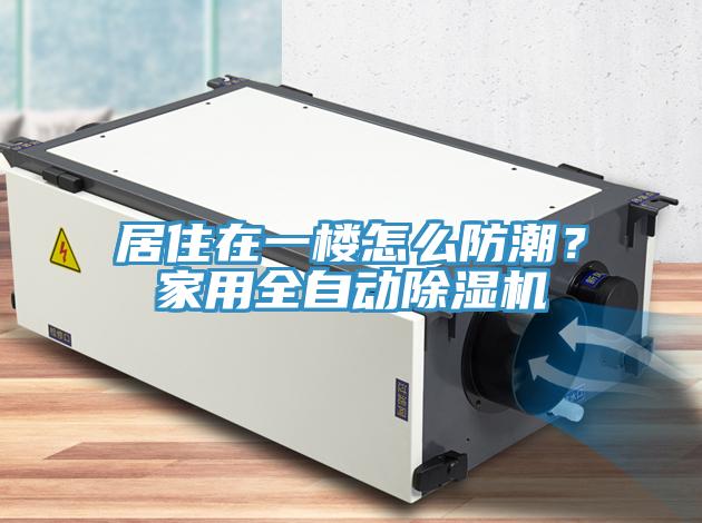 居住在一樓怎么防潮？家用全自動除濕機(jī)