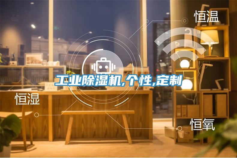 工業(yè)除濕機,個性,定制