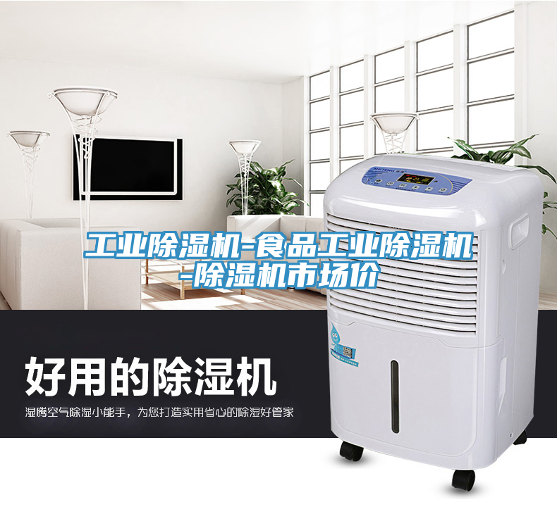 工業(yè)除濕機(jī)-食品工業(yè)除濕機(jī)-除濕機(jī)市場價
