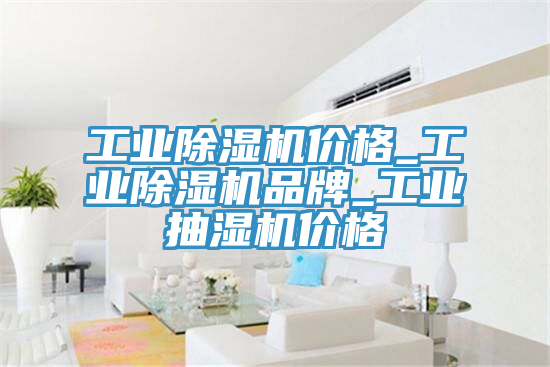 工業(yè)除濕機(jī)價(jià)格_工業(yè)除濕機(jī)品牌_工業(yè)抽濕機(jī)價(jià)格