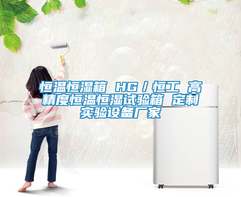 恒溫恒濕箱 HG／恒工 高精度恒溫恒濕試驗(yàn)箱 定制實(shí)驗(yàn)設(shè)備廠家