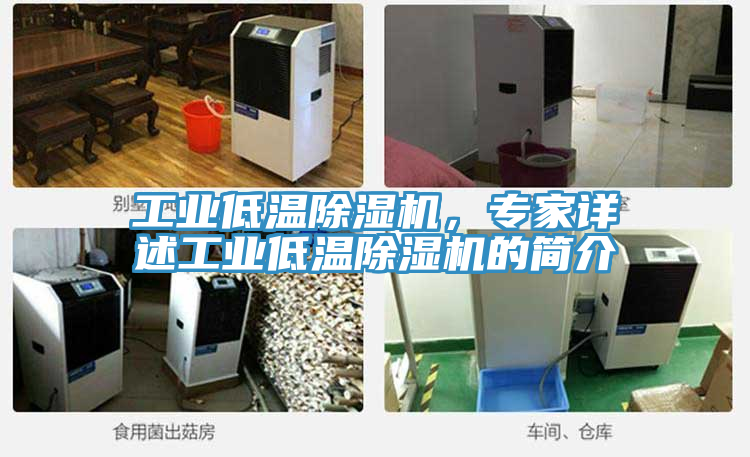 工業(yè)低溫除濕機(jī)，專家詳述工業(yè)低溫除濕機(jī)的簡(jiǎn)介