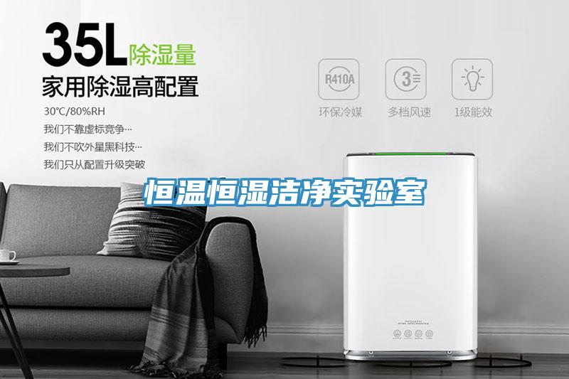 恒溫恒濕潔凈實(shí)驗(yàn)室
