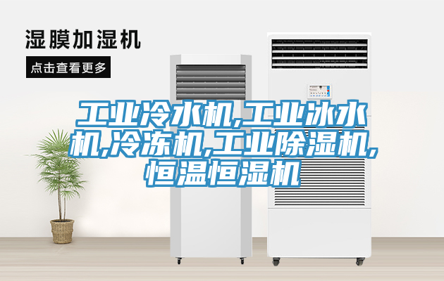 工業(yè)冷水機(jī),工業(yè)冰水機(jī),冷凍機(jī),工業(yè)除濕機(jī),恒溫恒濕機(jī)