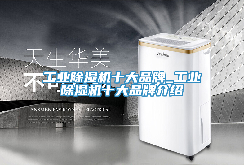 工業(yè)除濕機(jī)十大品牌_工業(yè)除濕機(jī)十大品牌介紹
