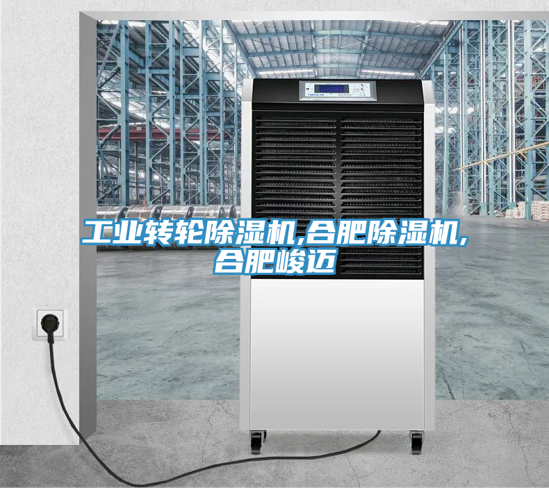 工業(yè)轉(zhuǎn)輪除濕機(jī),合肥除濕機(jī),合肥峻邁