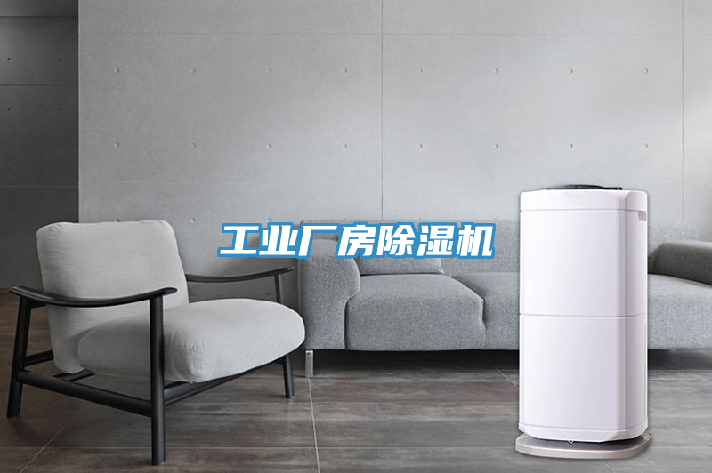 工業(yè)廠房除濕機(jī)