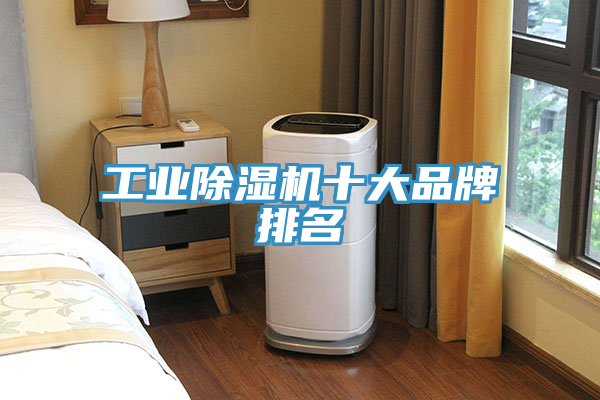 工業(yè)除濕機(jī)十大品牌排名