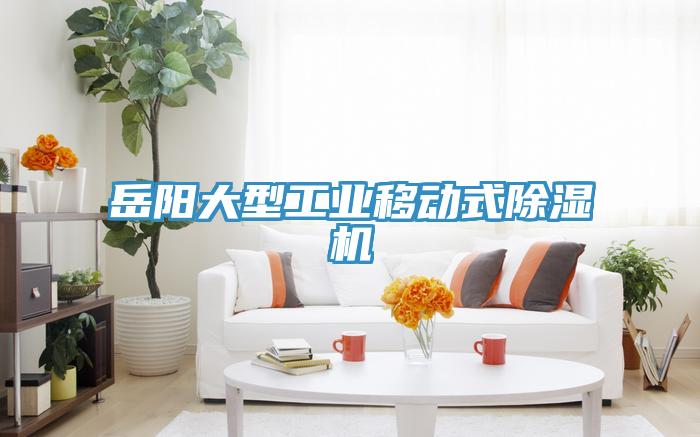 岳陽大型工業(yè)移動式除濕機