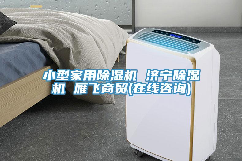 小型家用除濕機 濟寧除濕機 雁飛商貿(mào)(在線咨詢)