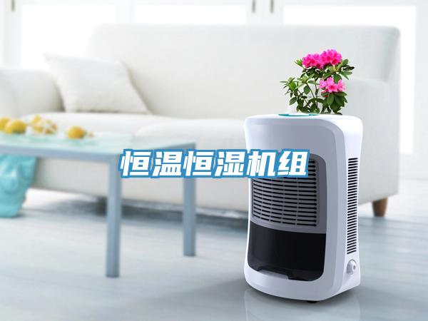 恒溫恒濕機(jī)組