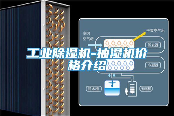 工業(yè)除濕機(jī)-抽濕機(jī)價格介紹