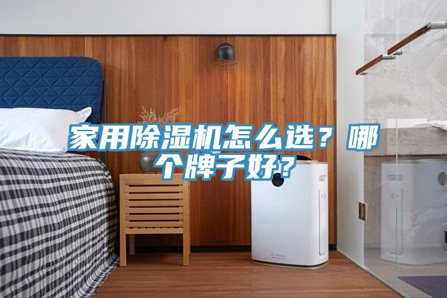 家用除濕機怎么選？哪個牌子好？