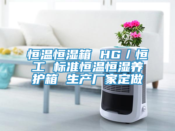 恒溫恒濕箱 HG／恒工 標(biāo)準(zhǔn)恒溫恒濕養(yǎng)護(hù)箱 生產(chǎn)廠家定做