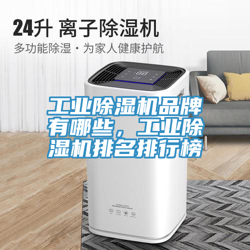 工業(yè)除濕機(jī)品牌有哪些，工業(yè)除濕機(jī)排名排行榜
