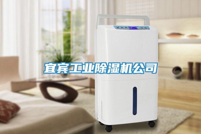 宜賓工業(yè)除濕機(jī)公司