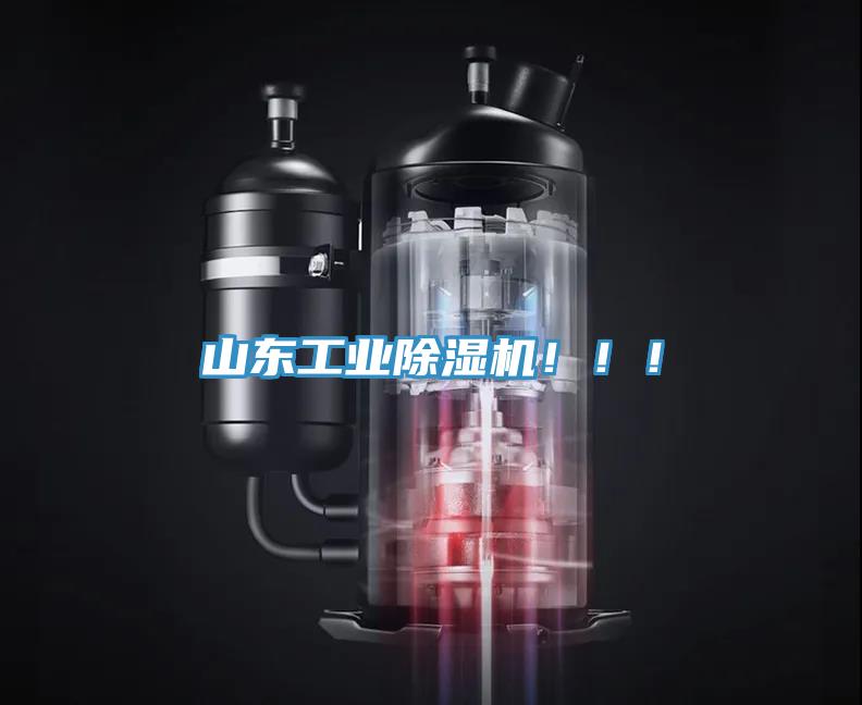 山東工業(yè)除濕機！?。?></div>
								<div   id=