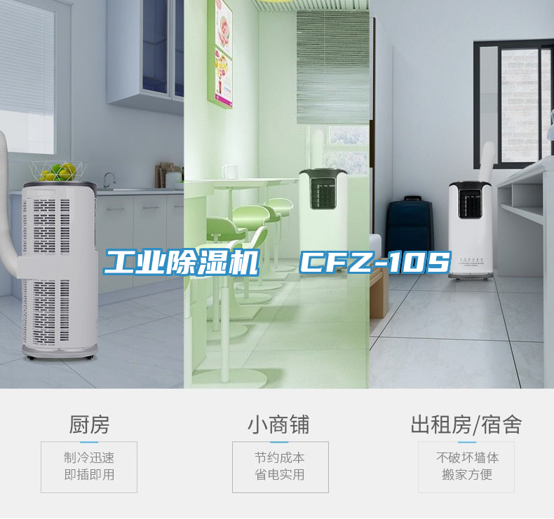 工業(yè)除濕機(jī)  CFZ-10S