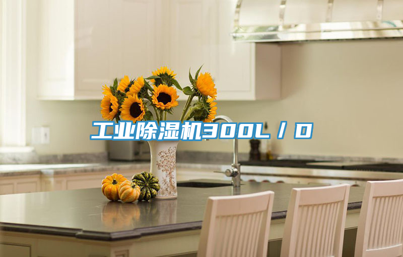 工業(yè)除濕機(jī)300L／D