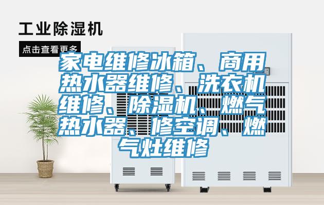家電維修冰箱、商用熱水器維修、洗衣機(jī)維修、除濕機(jī)、燃?xì)鉄崴鳌⑿蘅照{(diào)、燃?xì)庠罹S修