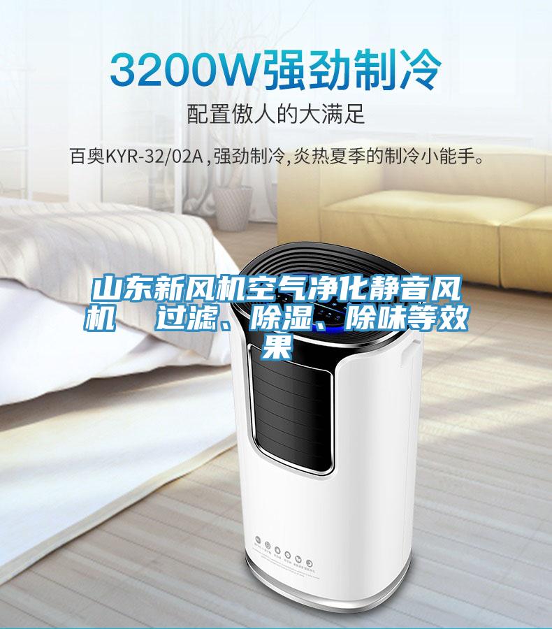山東新風機空氣凈化靜音風機  過濾、除濕、除味等效果
