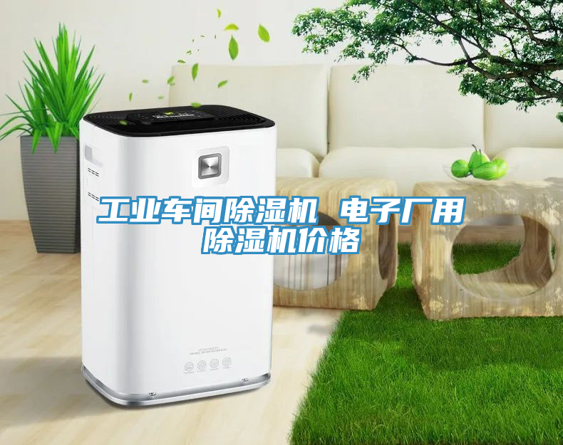 工業(yè)車間除濕機(jī) 電子廠用除濕機(jī)價(jià)格