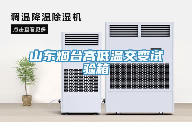 山東煙臺高低溫交變試驗箱