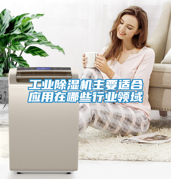 工業(yè)除濕機(jī)主要適合應(yīng)用在哪些行業(yè)領(lǐng)域