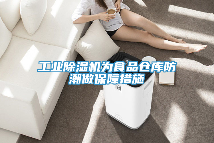 工業(yè)除濕機(jī)為食品倉庫防潮做保障措施