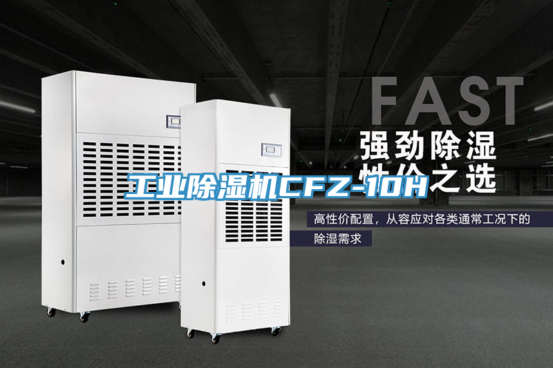 工業(yè)除濕機(jī)CFZ-10H