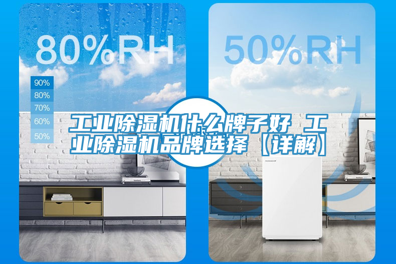 工業(yè)除濕機(jī)什么牌子好 工業(yè)除濕機(jī)品牌選擇【詳解】
