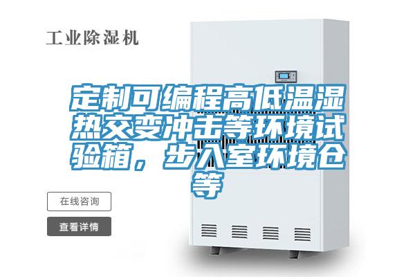 定制可編程高低溫濕熱交變沖擊等環(huán)境試驗箱，步入室環(huán)境倉等