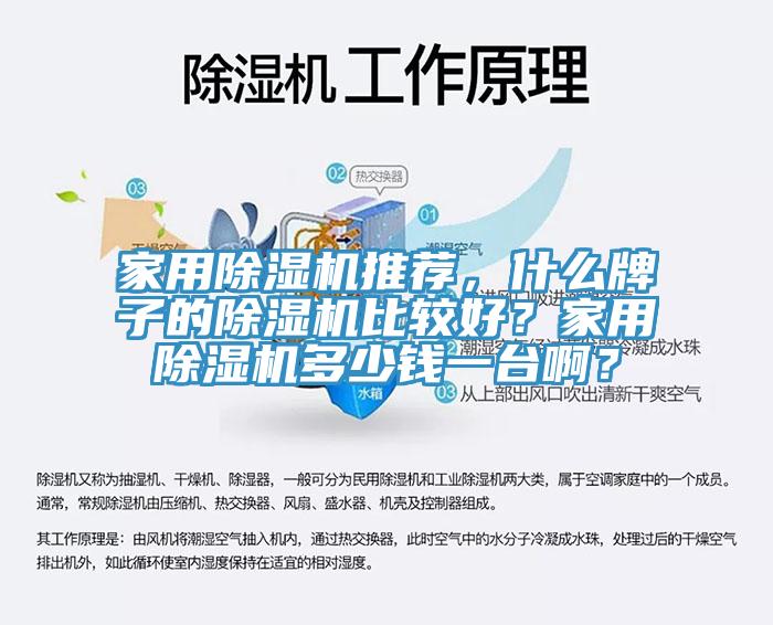 家用除濕機(jī)推薦，什么牌子的除濕機(jī)比較好？家用除濕機(jī)多少錢一臺(tái)啊？