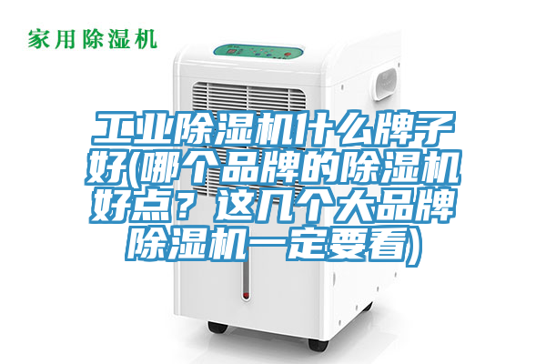 工業(yè)除濕機(jī)什么牌子好(哪個(gè)品牌的除濕機(jī)好點(diǎn)？這幾個(gè)大品牌除濕機(jī)一定要看)