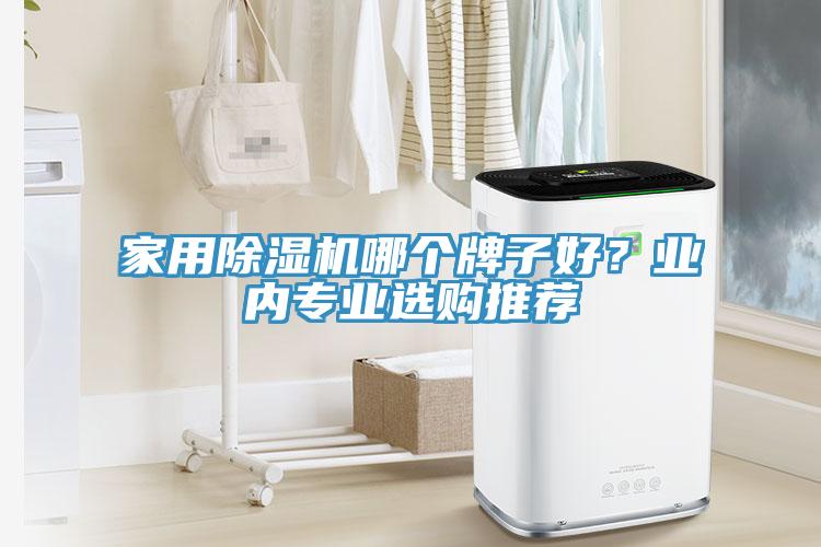 家用除濕機(jī)哪個(gè)牌子好？業(yè)內(nèi)專業(yè)選購(gòu)?fù)扑]