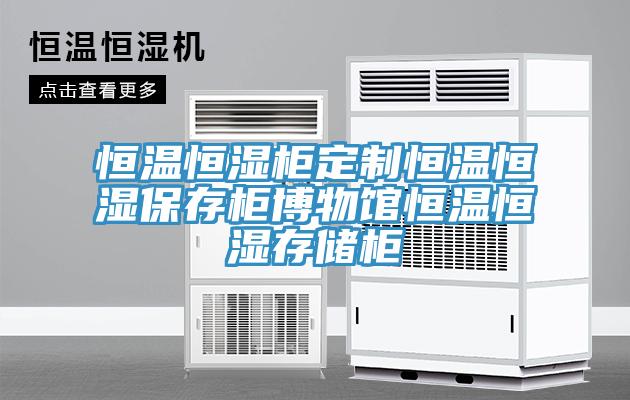 恒溫恒濕柜定制恒溫恒濕保存柜博物館恒溫恒濕存儲(chǔ)柜