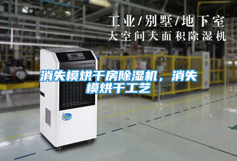 消失模烘干房除濕機(jī)，消失模烘干工藝