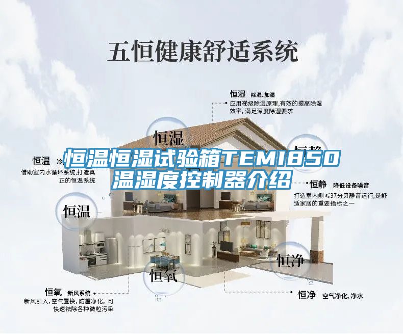 恒溫恒濕試驗(yàn)箱TEMI850溫濕度控制器介紹